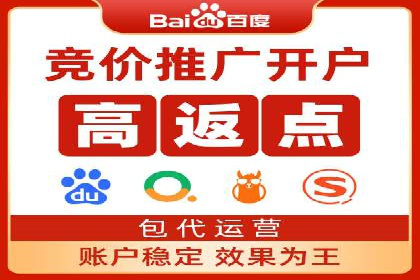 某公司信息流广告的精准投放与效果评估